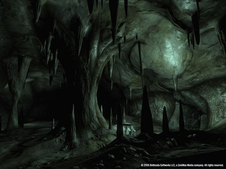 The Elder Scrolls IV: Oblivion® Game of the Year Edition Deluxe (2009)