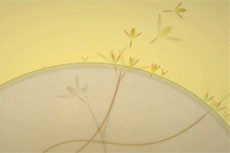 Eufloria Teaser video thumbnail for Eufloria