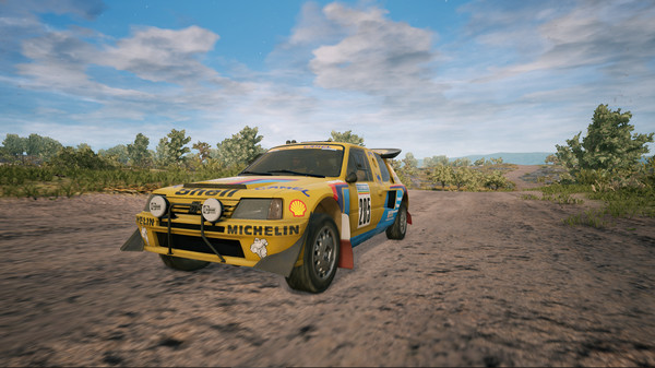 Dakar 18 - Ari Vatanen / Peugeot 205 Turbo 16