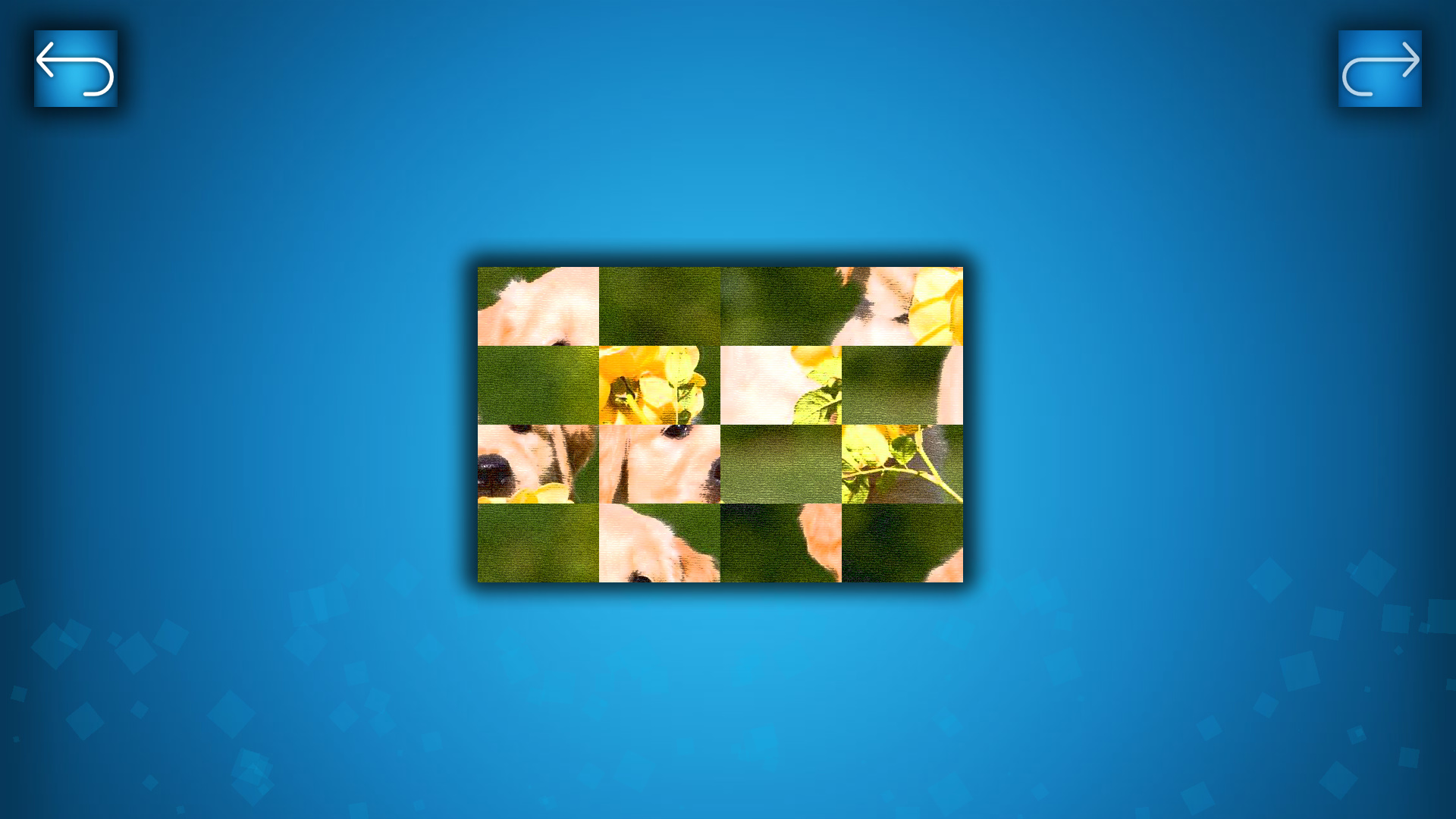 PUZZLE: CATS & DOGS - Puzzle Pack: Summer Dogs Featured Screenshot #1
