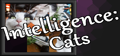 Intelligence: Cats banner