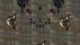 The path to domination