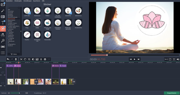 Movavi Video Editor Plus - Eco Set screenshot 2