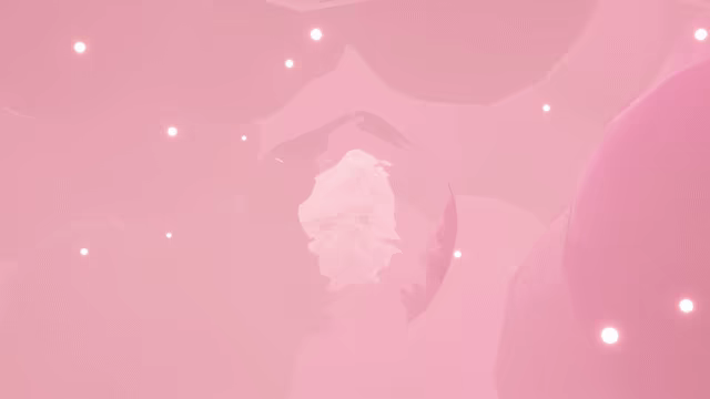 Anima video 1