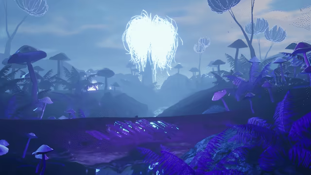 Anima video 2
