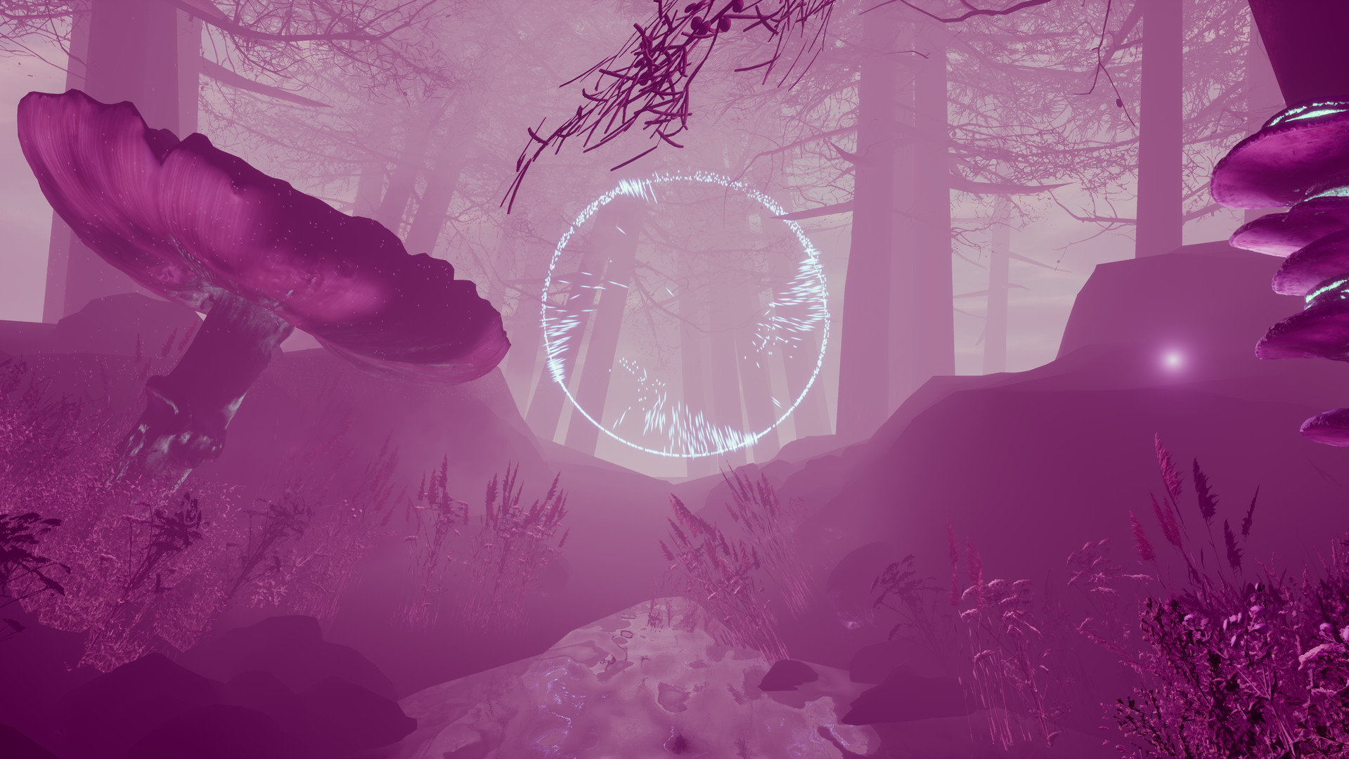 #2. Anima (Steam) 由: The Revera Corporation