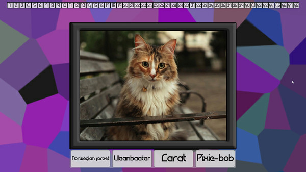 Test your knowledge: Cats screenshot 2