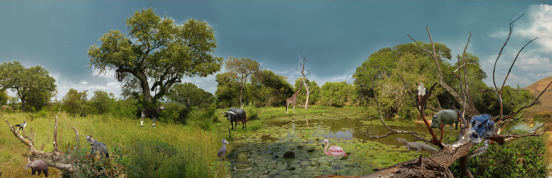 Hidden Animals: Photo Hunt - Worldwide Safari