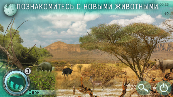 Фото Охота - Поиск животных - сафари вокруг света.