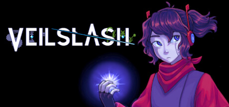 Veilslash Cover Image