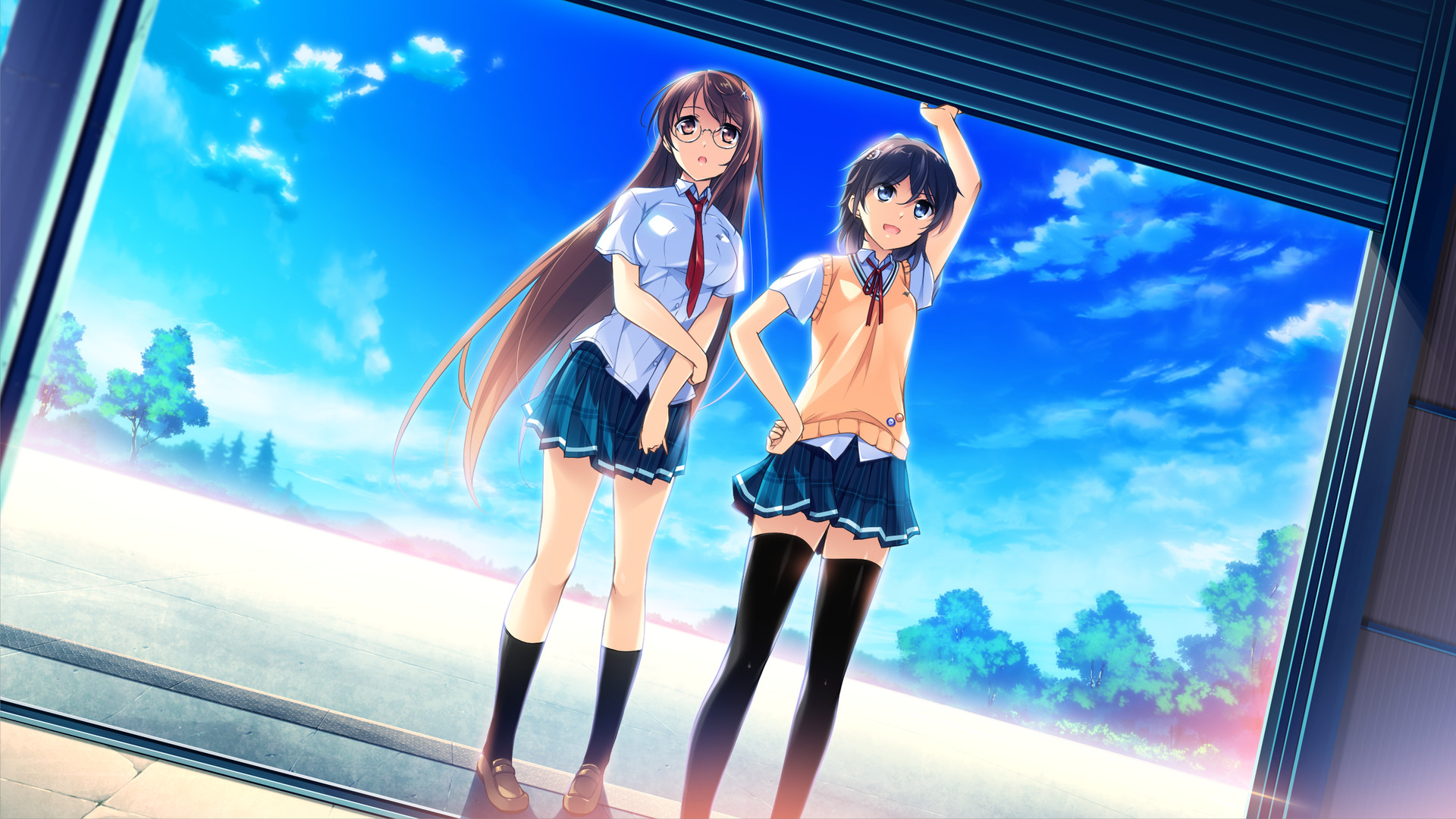 If My Heart Had Wings -Flight Diary-