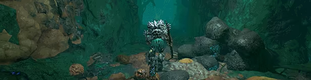 Arboria video 5