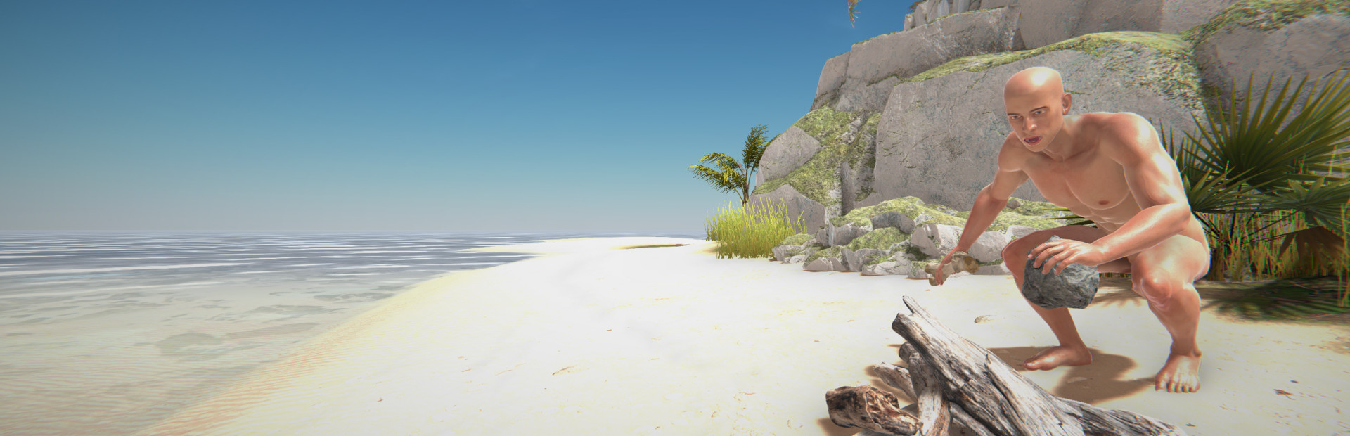 Hand Simulator: Survival