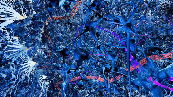 Screenshot z Colory VR Screenshot z Colory VR