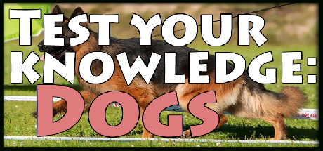 Test your knowledge: Dogs Cover Image