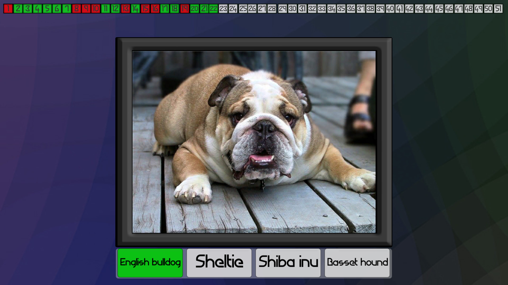 Test your knowledge: Dogs Featured Screenshot #1