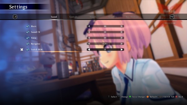 SENRAN KAGURA Burst Re:Newal - Shinovi Versus BGM Pack
