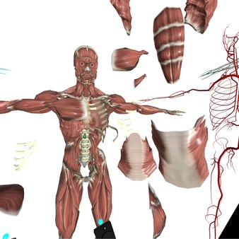 VR Anatomy screenshot 1