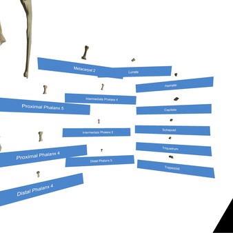 VR Anatomy screenshot 3