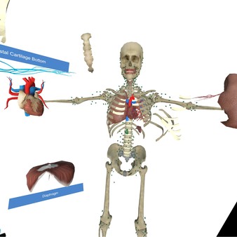 VR Anatomy screenshot 5