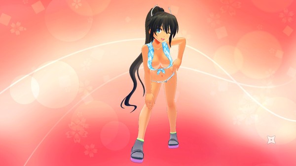 SENRAN KAGURA Burst Re:Newal - Costume Set Vol.4