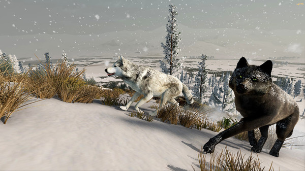 WolfQuest: Anniversary Edition