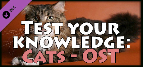 Test your knowledge: Cats - OST banner image