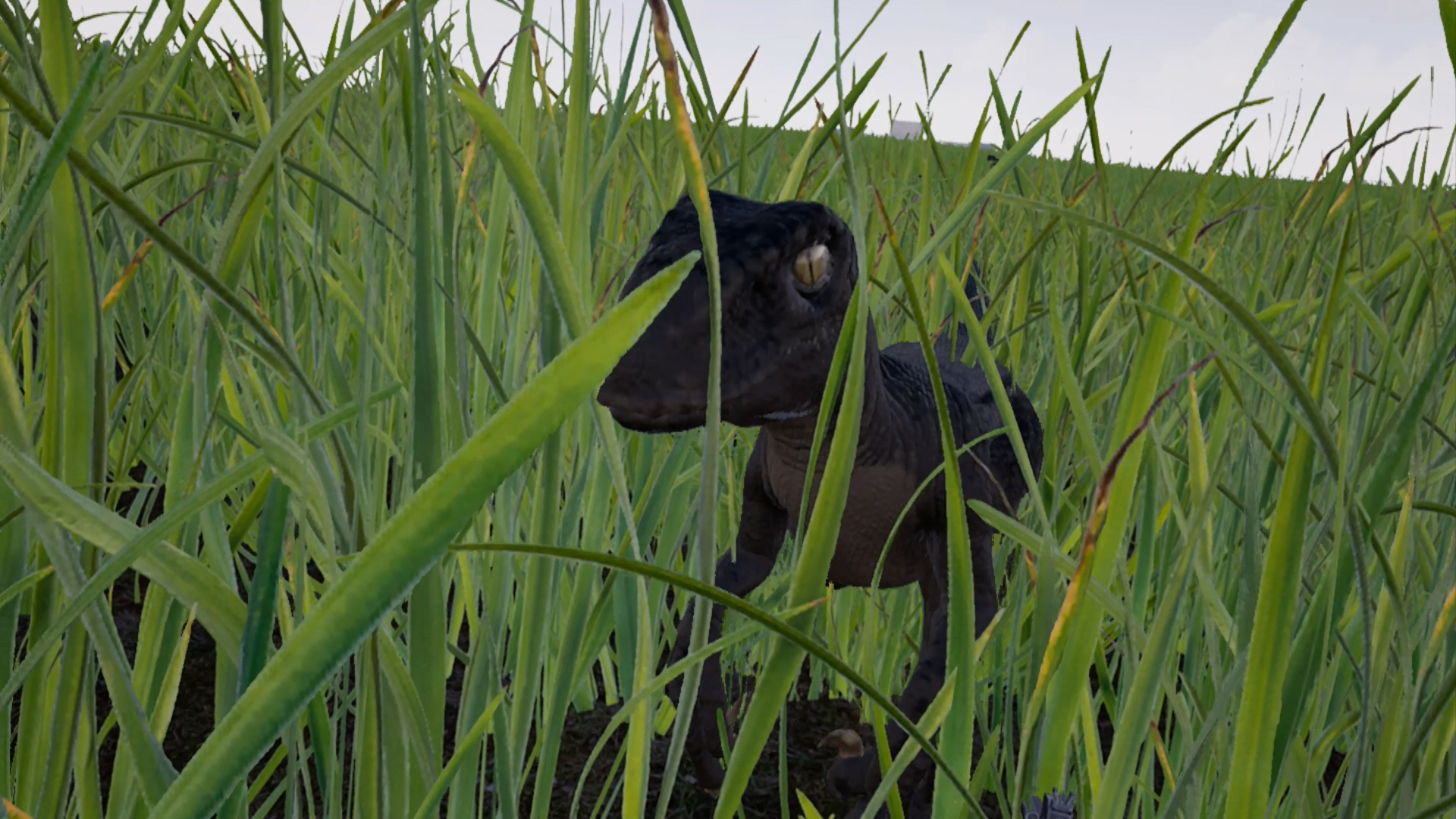 Raptor: Cretaceous Island Featured Screenshot #1