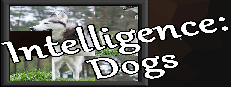 Intelligence: Dogs Small Capsule Image