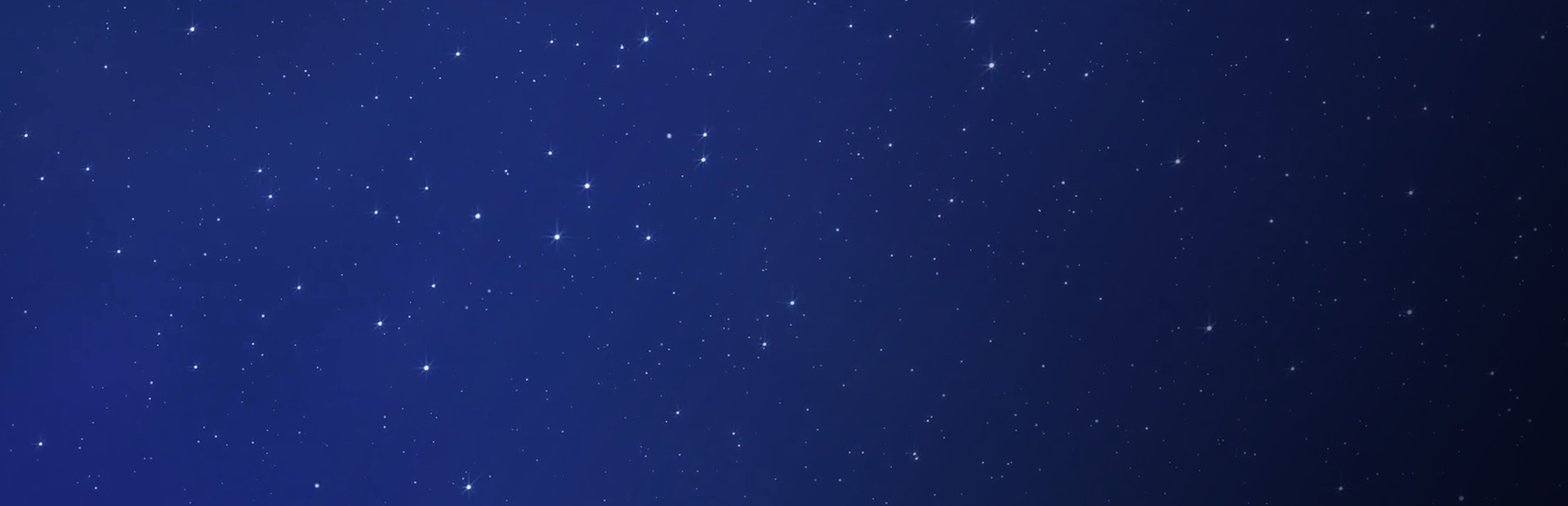 Space Cows