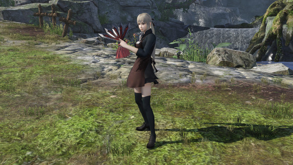 WARRIORS OROCHI 4/無双OROCHI3- Bonus Costume for Wang Yuanji