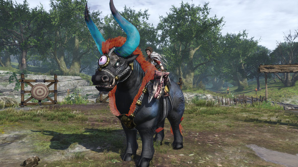 WARRIORS OROCHI 4/無双OROCHI3 - Special Mounts Pack
