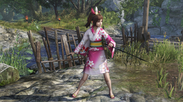 WARRIORS OROCHI 4/無双OROCHI3 - Legendary Costumes Samurai Warriors Pack 4