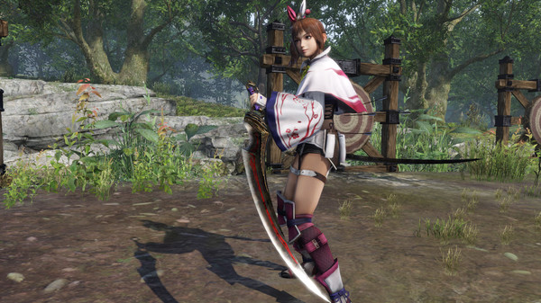 WARRIORS OROCHI 4/無双OROCHI3 - Legendary Weapons Samurai Warriors Pack 4