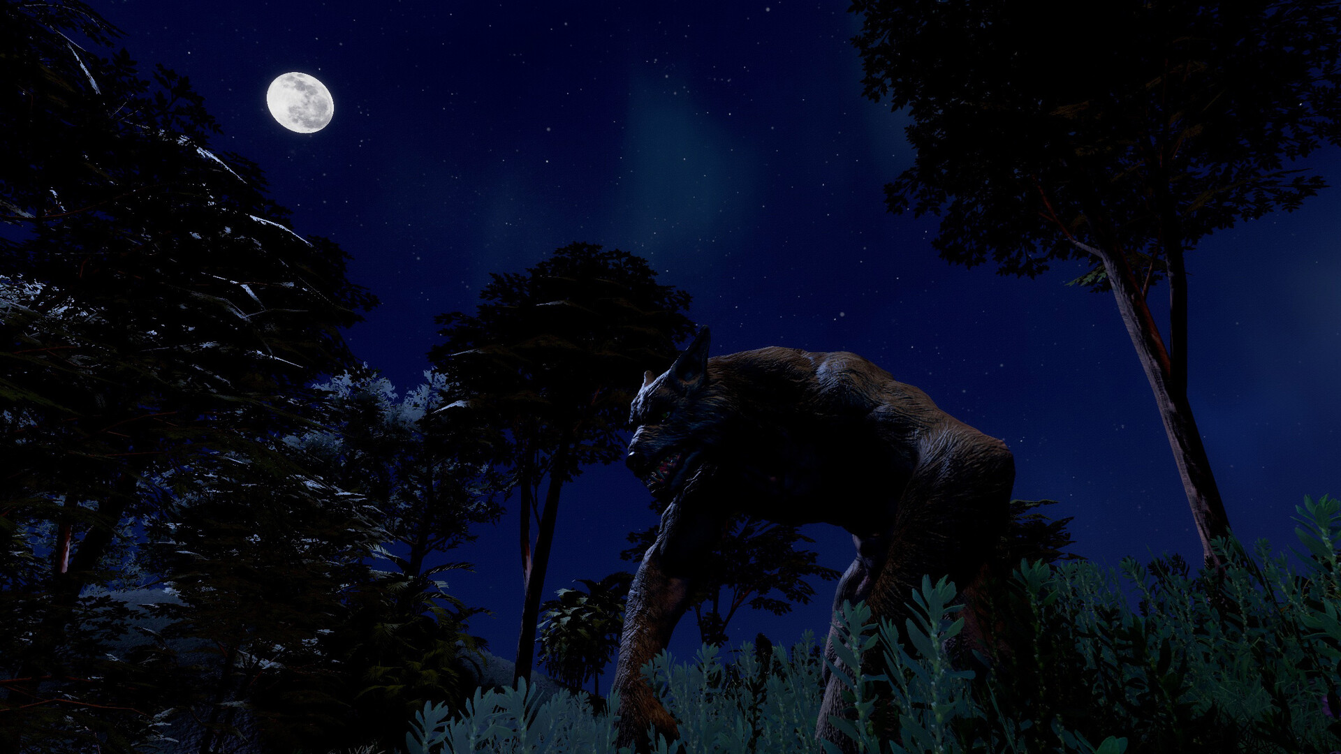 Trials of Wilderness screenshot #9