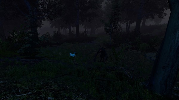 Screenshot z Trials of Wilderness