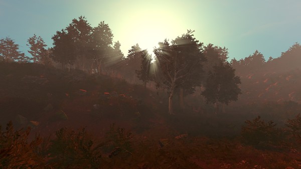 Trials of Wilderness screenshot 6