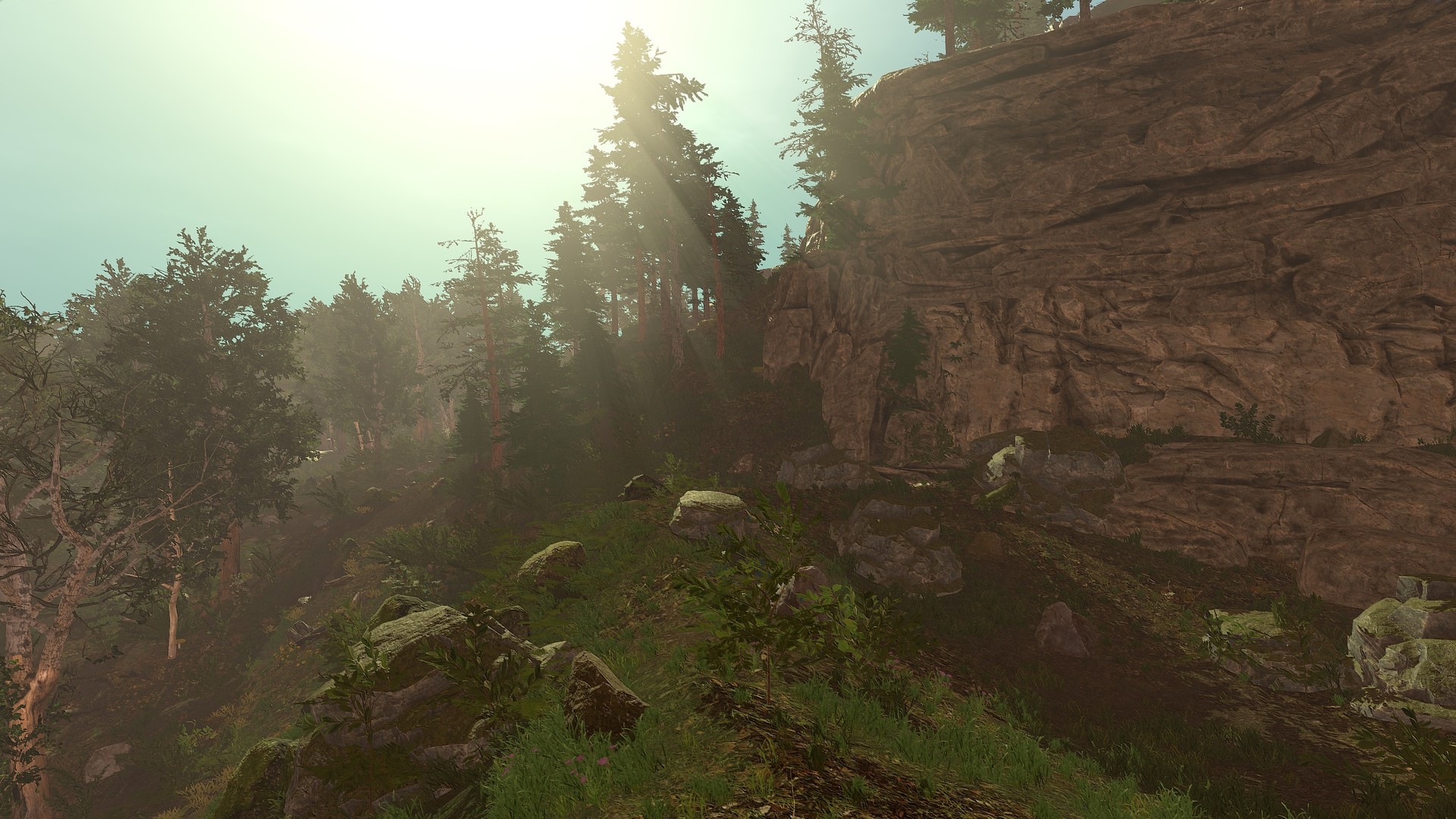 Trials of Wilderness screenshot #10