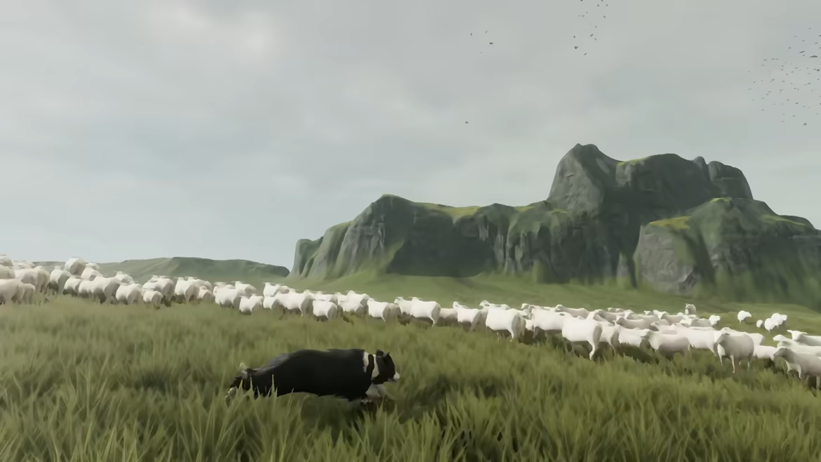 The Free Shepherd video 1