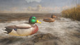 Screenshot #6