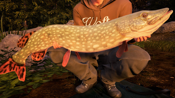 screenshot3