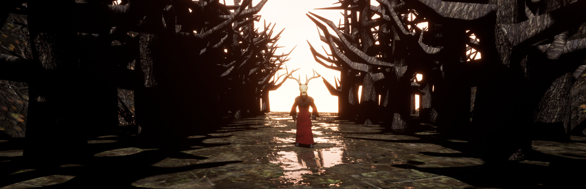 Bloom