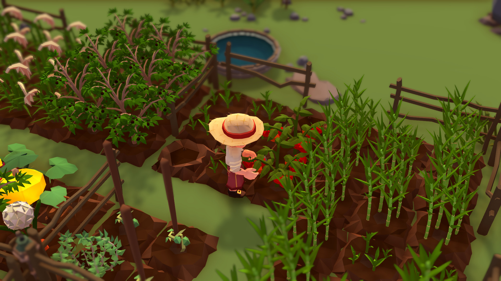 Stranded Sails — Explorers of the Cursed Islands