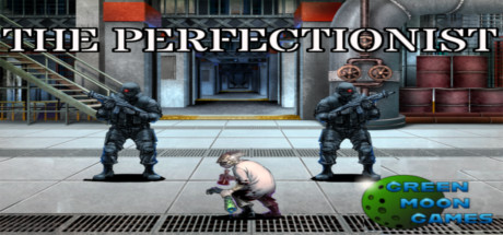 The Perfectionist Cover Image