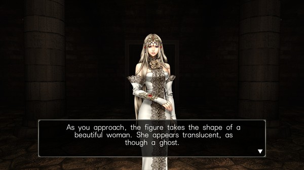 Screenshot z Wizardry: Labyrinth of Lost Souls