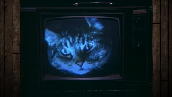 Hick Trek screenshot 3