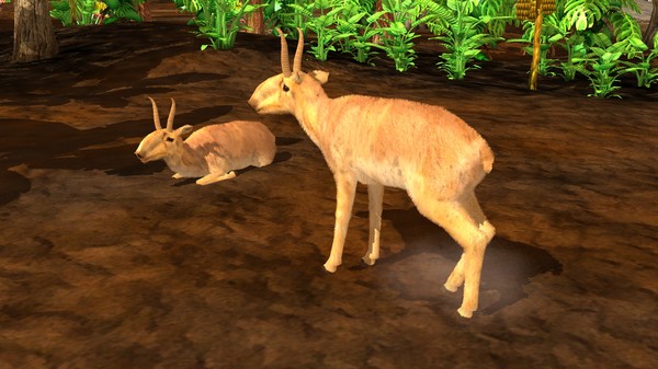 Wildlife Park 3 - Asia