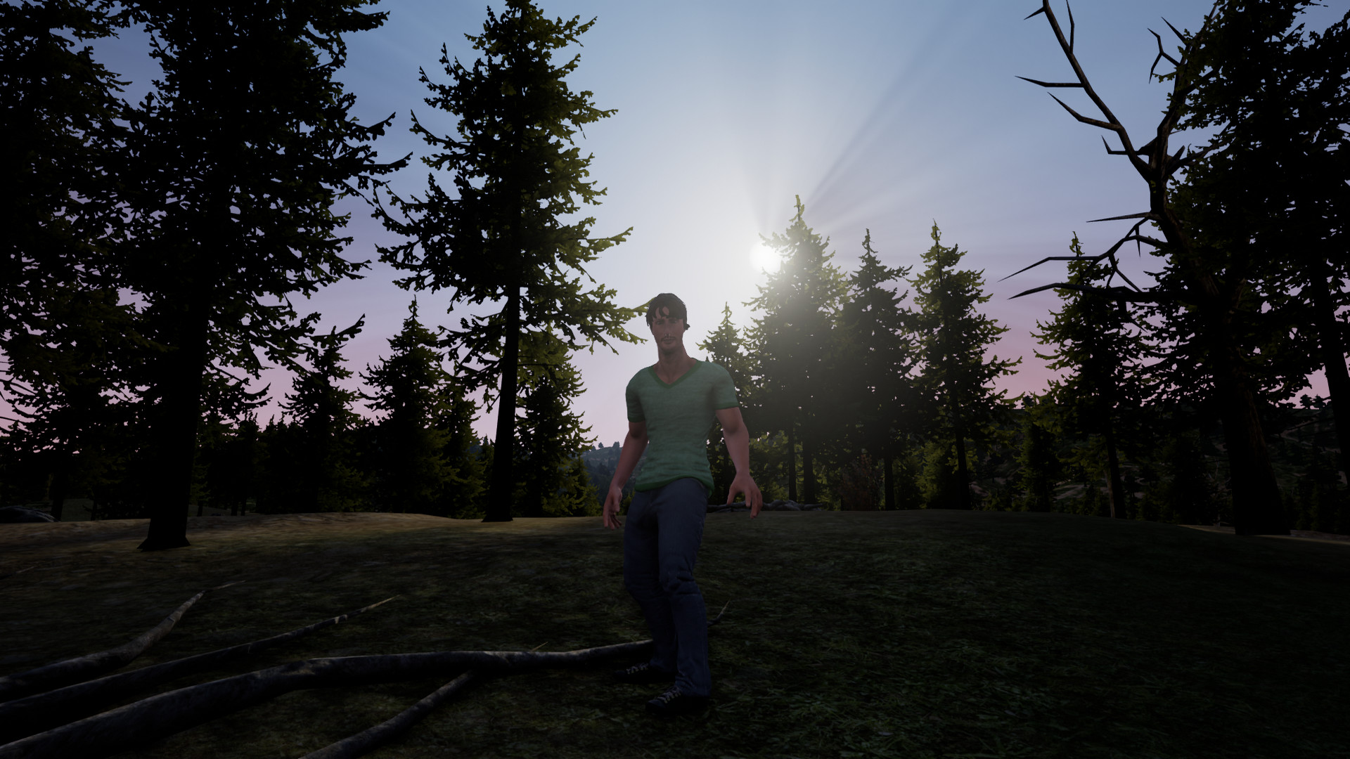 #3. Strange Encounter (Steam) 由: Rymentz