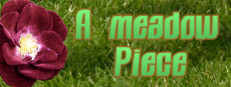 A meadow Piece