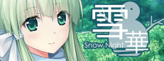 SnowNight